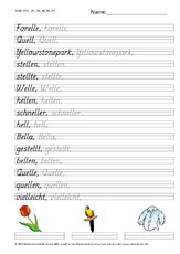 DSS_2S_Bu_ell_Nr_01.pdf